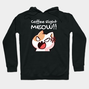 Coffee right meow funny cat design Hoodie